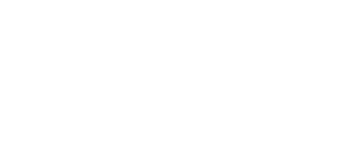 Logo université de Lyon