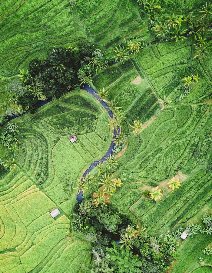 vue du dessus d'un paysage