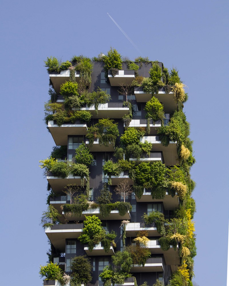 immeuble avec des arbres au balcon