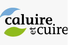 logo caluire et cuire